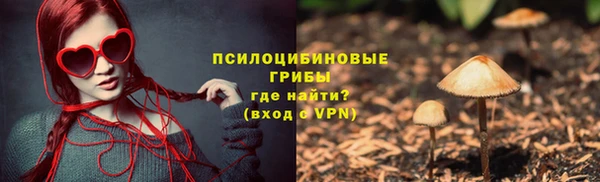 тгк Алексин