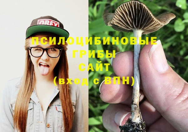 марихуана Абаза