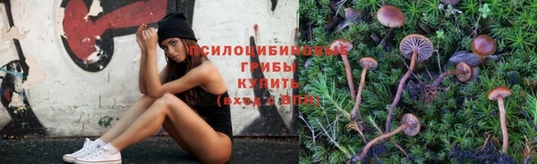 кристаллы Алексеевка