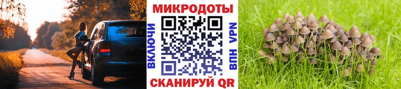Псилоцибиновые грибы GOLDEN TEACHER  Добрянка 