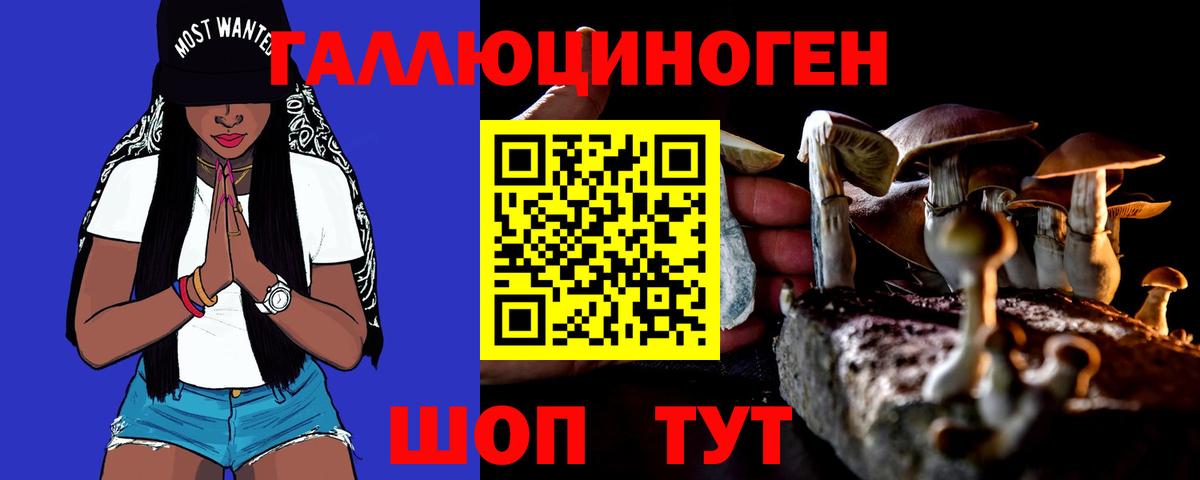 Галлюциногенные грибы GOLDEN TEACHER  Вход с VPN  Галлюциногенные грибы MAGIC MUSHROOMS  Добрянка 